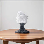 SOGA 49cm Bubble Head Resin Bust – Artistic Black White Accent $ 177