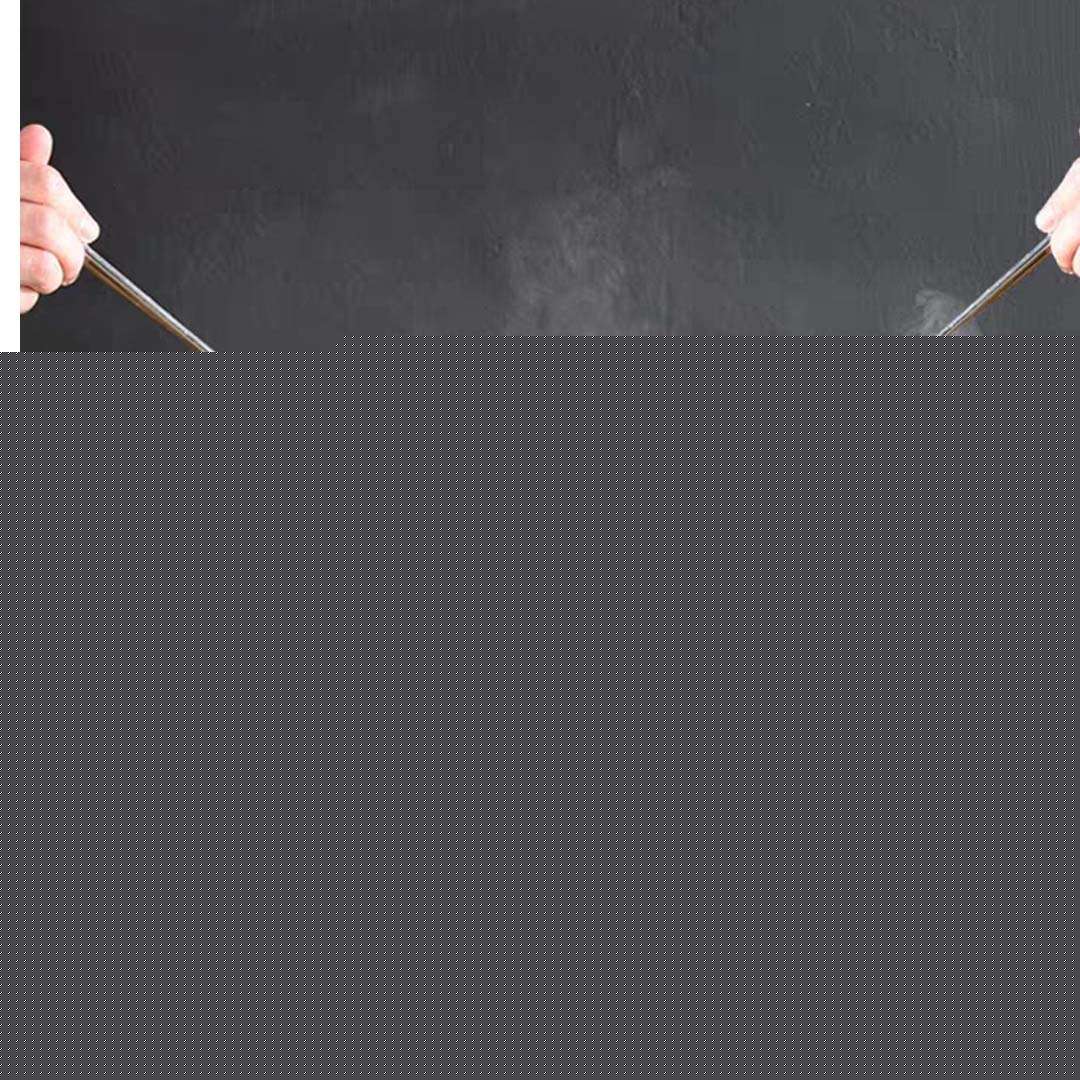 2X 40CM Portable Stainless Steel Outdoor Chafing Dish BBQ Fish Stove Grill Plate $ 151