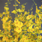 SOGA 10pcs Artificial Silk Flower Fake Orchid Bouquet Table Decor Yellow $ 66.90