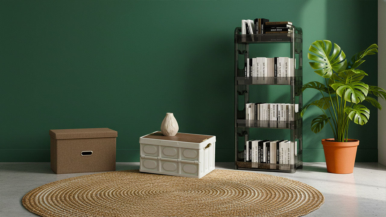 Room interior with storage boxes, a plant, and a bookshelf against a green wall.