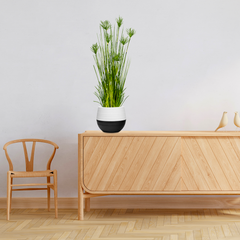 SOGA 2X 150cm Cyperus Papyrus Plant Tree Artificial Green Grass, Home Or Office Indoor Greenery Accent
