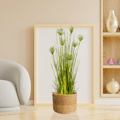 SOGA 2X 150cm Cyperus Papyrus Plant Tree Artificial Green Grass, Home Or Office Indoor Greenery Accent