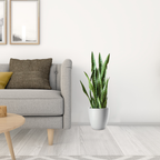 SOGA 4X 97cm Sansevieria Snake Artificial Plants with Black Plastic Planter Greenery, Home Office Decor