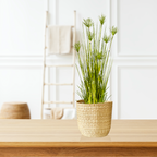 SOGA 2X 150cm Cyperus Papyrus Plant Tree Artificial Green Grass, Home Or Office Indoor Greenery Accent