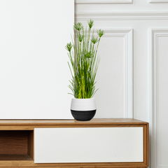 SOGA 2X 150cm Cyperus Papyrus Plant Tree Artificial Green Grass, Home Or Office Indoor Greenery Accent