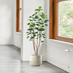 SOGA 4X 180cm Plastic Potted Polyscias Scutellaria Plant Home Garden Artificial Tree, Home Decor