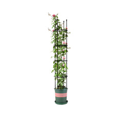 SOGA 163cm 4-Bar Plant Frame Stand Trellis Vegetable Flower Herbs Outdoor Vine Support Garden Rack with Rings