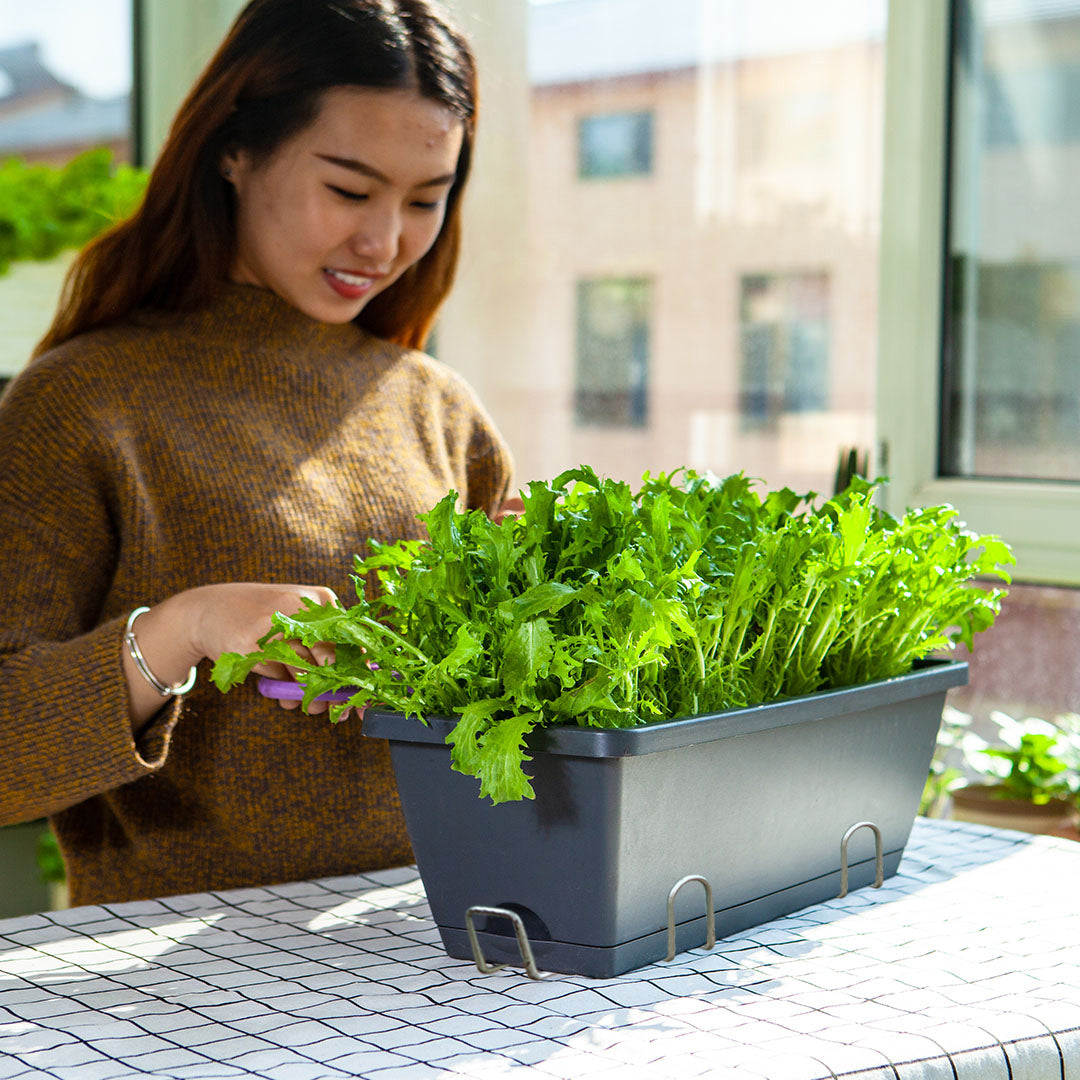 SOGA 49.5cm Black Rectangular Planter Vegetable Herb Flower Outdoor Plastic Box with Holder Balcony Garden Decor Set of 2