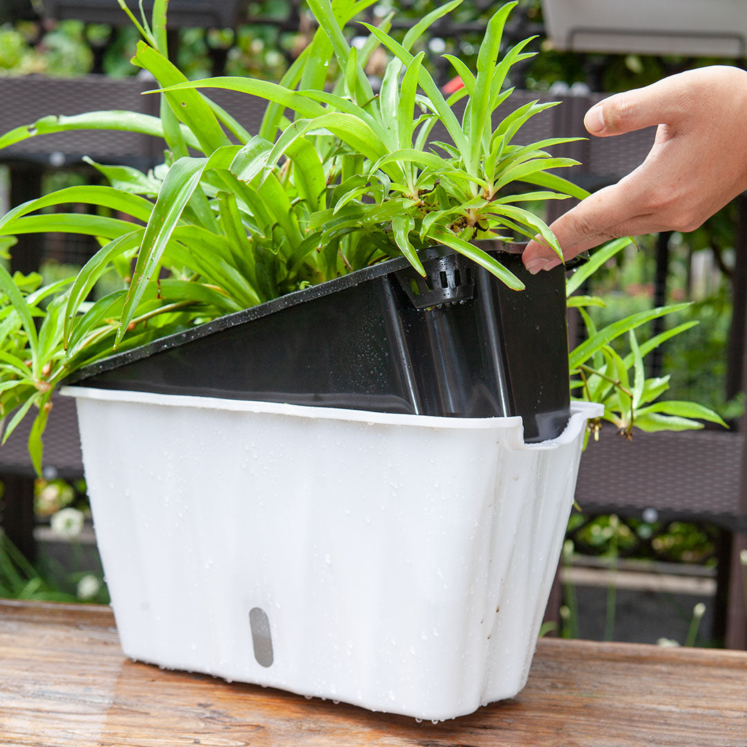 SOGA 2X 35cm Small White Rectangular Flowerpot Vegetable Herb Flower Outdoor Plastic Box Garden Decor