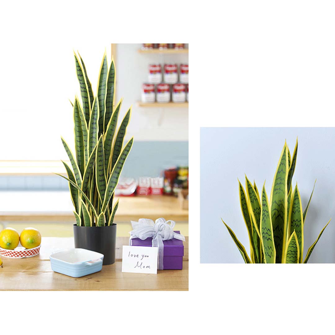 SOGA 4X 50cm Artificial Indoor Yellow Edge Tiger Piran Fake Decoration Tree Flower Pot Plant