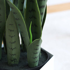 SOGA 4X 97cm Sansevieria Snake Artificial Plants with Black Plastic Planter Greenery, Home Office Decor
