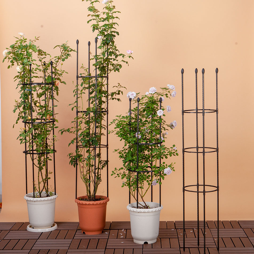 SOGA 2X 163cm 4-Bar Plant Frame Stand Trellis Vegetable Flower Herbs Outdoor Vine Support Garden Rack with Rings