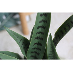 SOGA 4X 97cm Sansevieria Snake Artificial Plants with Black Plastic Planter Greenery, Home Office Decor