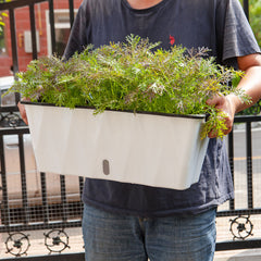 SOGA 2X 50 cm White Rectangular Flowerpot Vegetable Herb Flower Outdoor Plastic Box Garden Decor