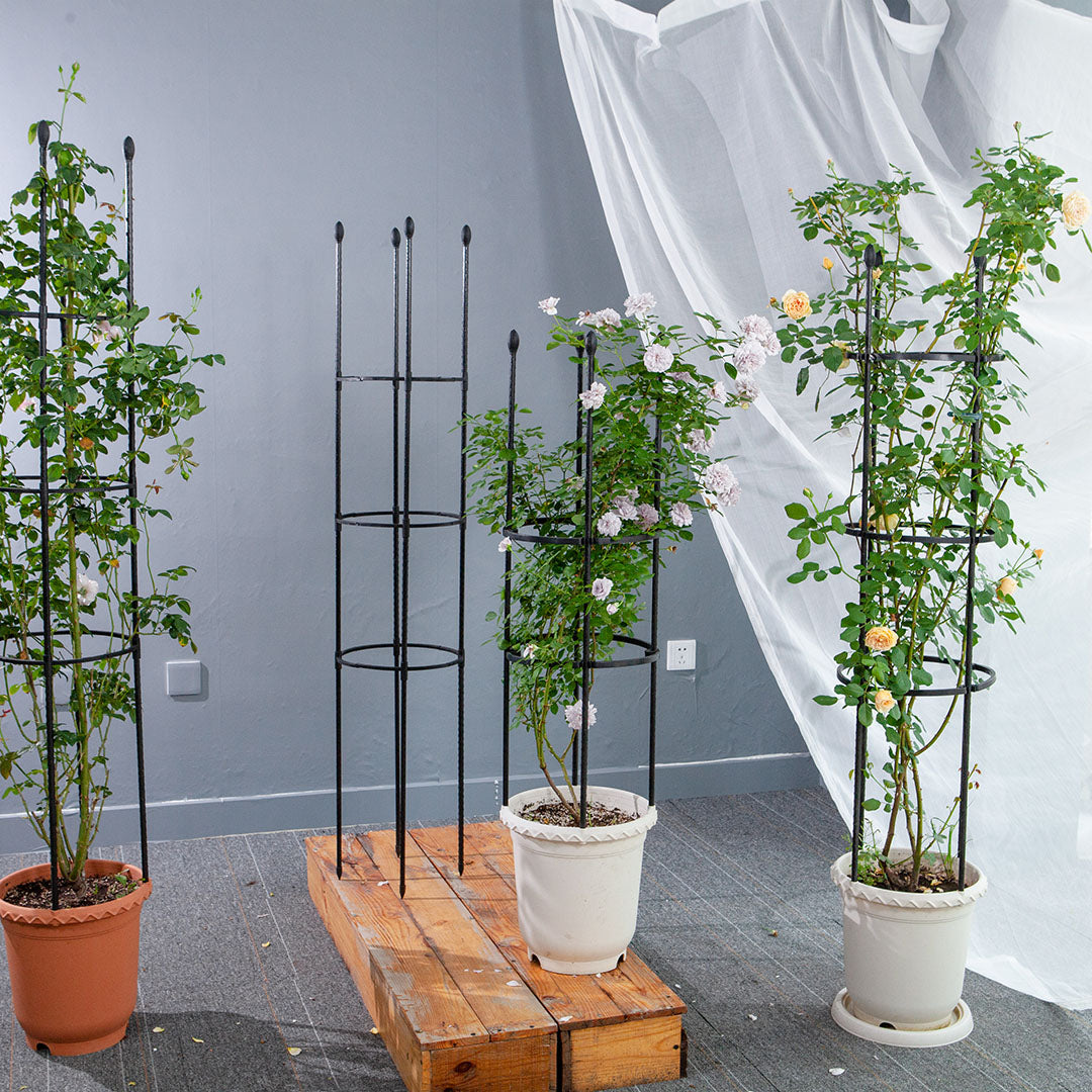 SOGA 2X 163cm 4-Bar Plant Frame Stand Trellis Vegetable Flower Herbs Outdoor Vine Support Garden Rack with Rings