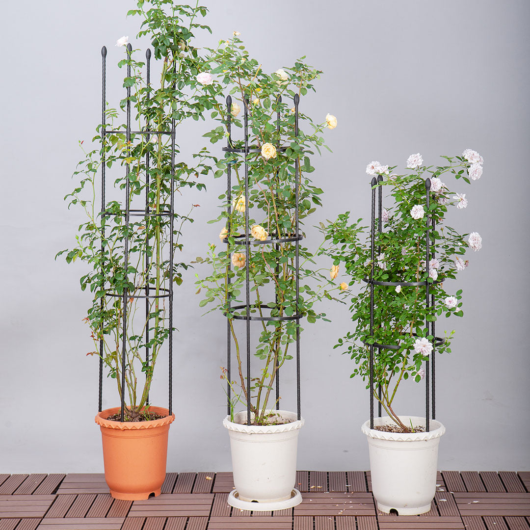 SOGA 103cm 4-Bar Plant Frame Stand Trellis Vegetable Flower Herbs Outdoor Vine Support Garden Rack with Rings