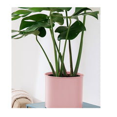 SOGA 70cm Tripod Flower Pot Plant Stand with Pink Flowerpot Holder Rack Indoor Display