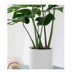 SOGA 4X 80cm Tripod Flower Pot Plant Stand with White Flowerpot Holder Rack Indoor Display