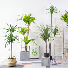 SOGA 2X 180cm Green Artificial Indoor Brazlian Iron Tree Fake Plant Decorative 3 Heads