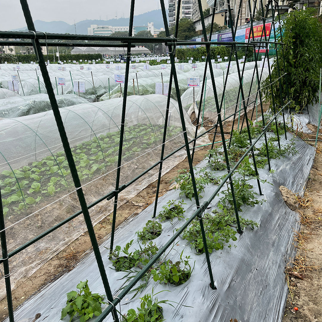 SOGA 90cm Plant Frame Tube Trellis Vegetable Flower Herbs Outdoor Vine Support Adjustable Garden Rack