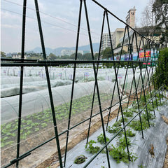 SOGA 120X90cm Plant Frame Tube Trellis Vegetable Flower Herbs Outdoor Vine Support Adjustable Garden Rack