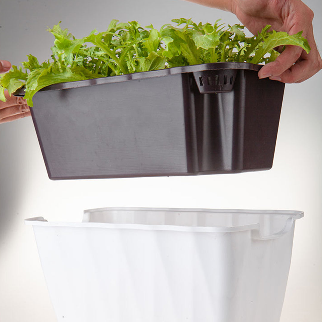 SOGA 2X 35cm Small White Rectangular Flowerpot Vegetable Herb Flower Outdoor Plastic Box Garden Decor